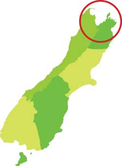 Tasman - South Island Accessible Accommodations and Activities