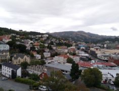 dunedin1 1000px 235x180 - Wolfgang Reviews South to North NZ