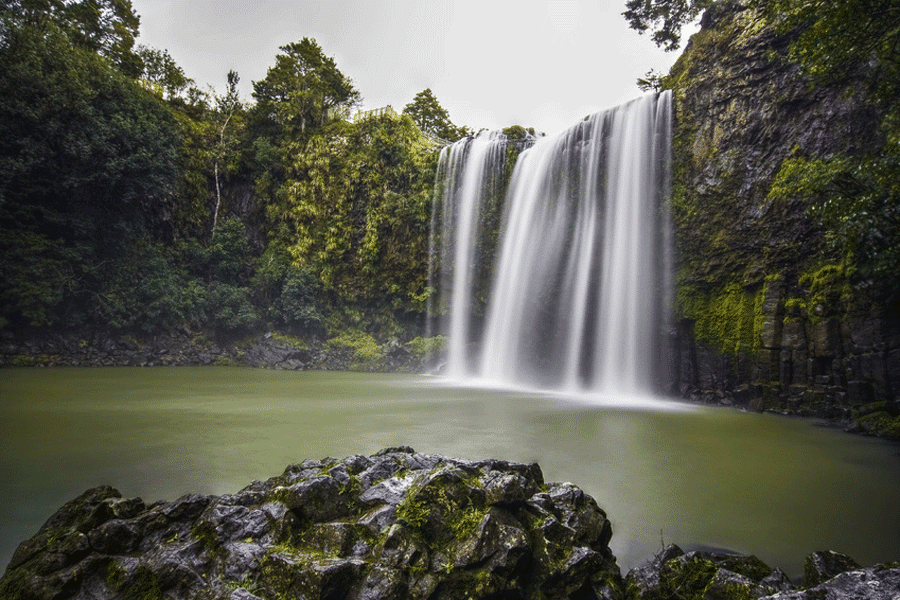 Whangarei Waterfall - Whāngārei Waterfalls