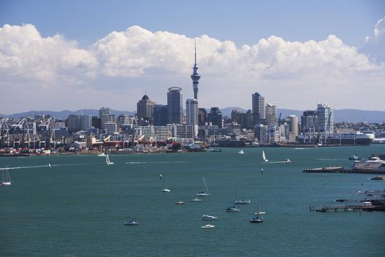 harbour - Fishing - Auckland Charter Boats