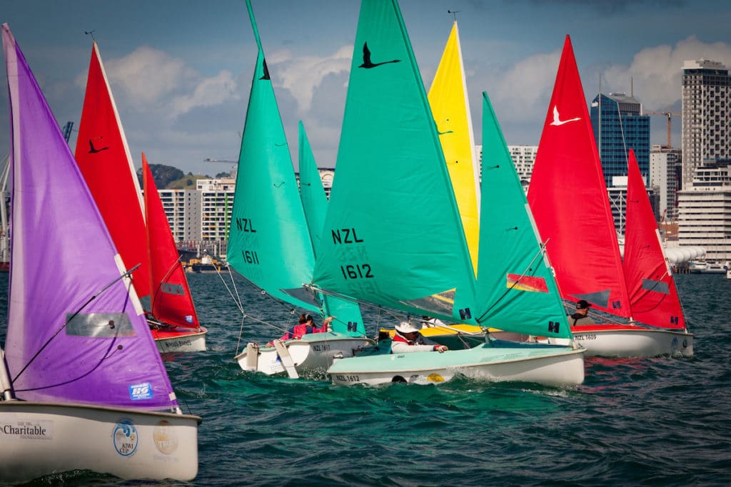 sailability 1024x683 - Sailing Auckland