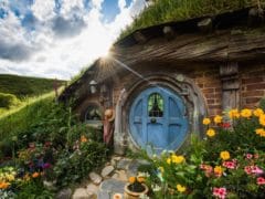 hobbiton 240x180 - Hobbiton Tour