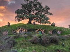 hobbiton 4 240x180 - Hobbiton Tour