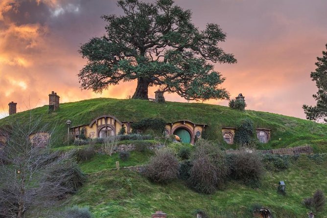 hobbiton 4 - Hobbiton Tour