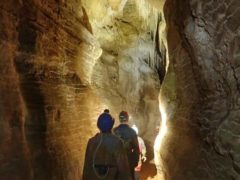 waitomo 240x180 - Waitomo Caves - Ruakuri