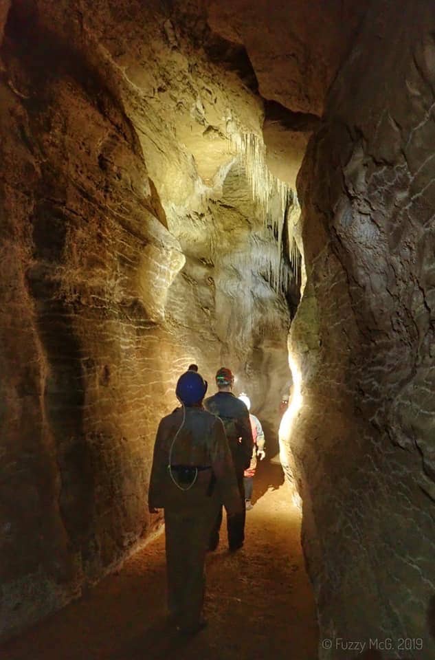 waitomo - Waitomo Caves - Ruakuri
