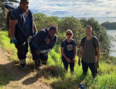 AFSN3871 235x180 - Tree Planting on Waiheke Island