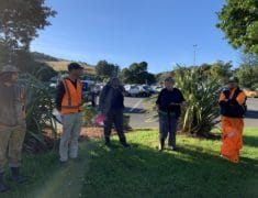 IMG 0630 235x180 - Tree Planting on Waiheke Island