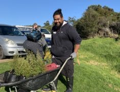 IMG 0634 e1569553373329 235x180 - Tree Planting on Waiheke Island