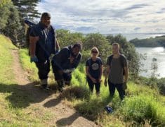 IMG 0648 235x180 - Tree Planting on Waiheke Island