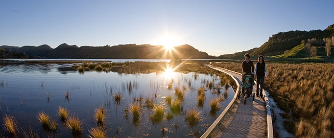 Lake Okareka Walkway Rotorua Walkway - Lake Okareka Walkway / Rotorua Walkway