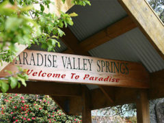 Paradise valley springs 240x180 - Paradise Valley Springs Wildlife