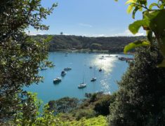 RAMF9158 235x180 - Tree Planting on Waiheke Island