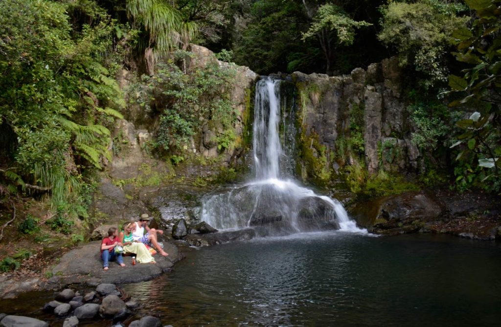 The Waiau Kauri Grove 1024x668 - The Waiau Kauri Grove and Waterfalls