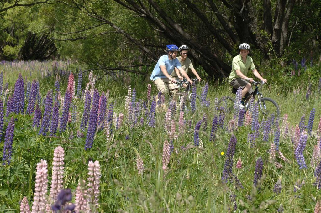 arrowtown 1024x680 - Arrow River Trail