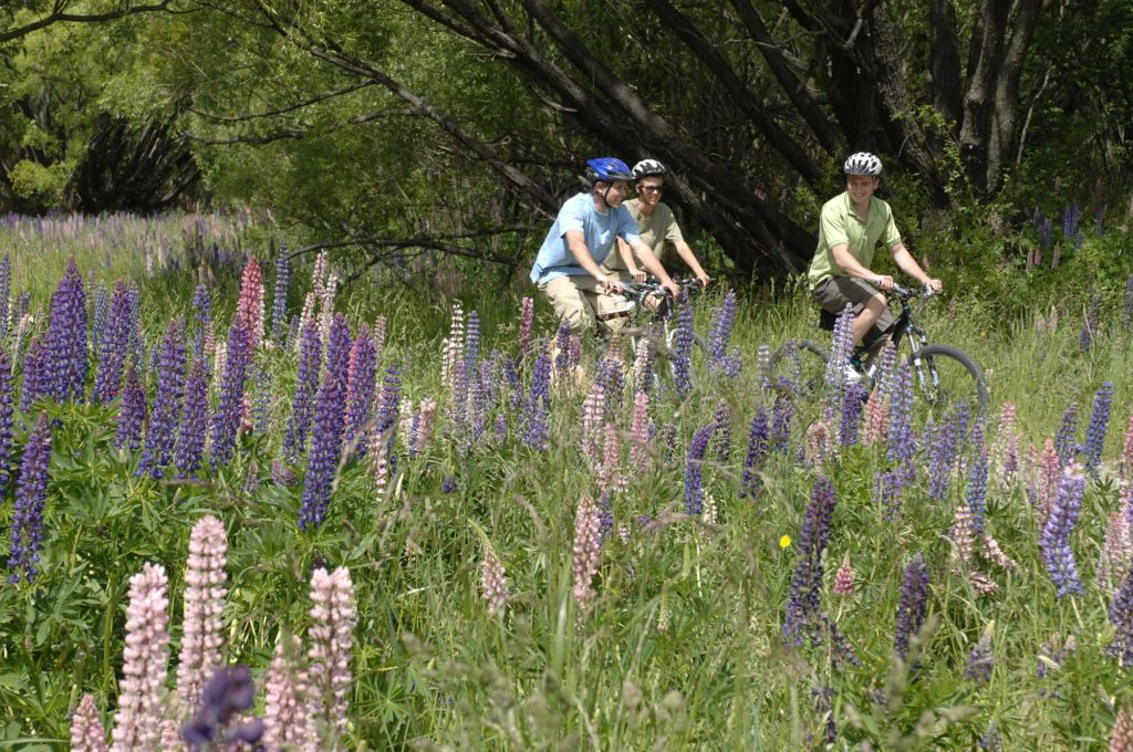 arrowtown 1024x680 - Arrow River Trail