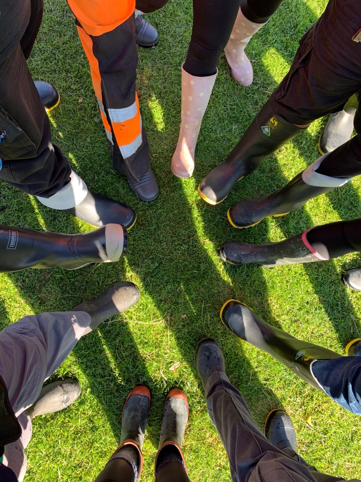 file 12 - Tree Planting on Waiheke Island