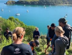 file1 5 235x180 - Tree Planting on Waiheke Island