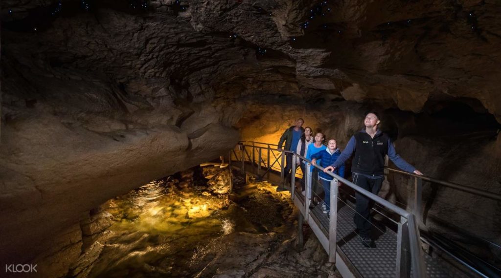 glow worm 1024x569 - Te Anau Glowworm Cave