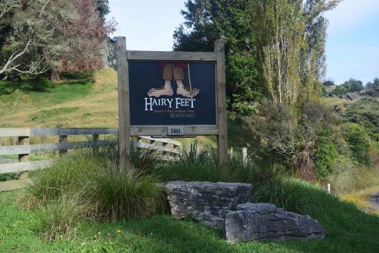 hairy feet - Hairy Feet Waitomo