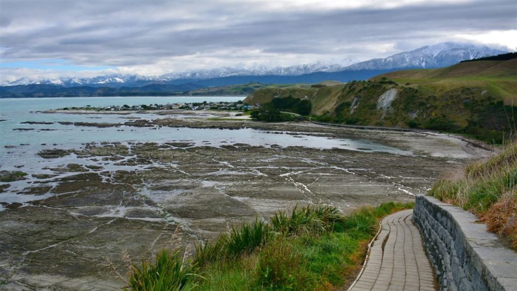 kaikoura peninsula walkway 1024x576 - Kaikoura Peninsula Walkway