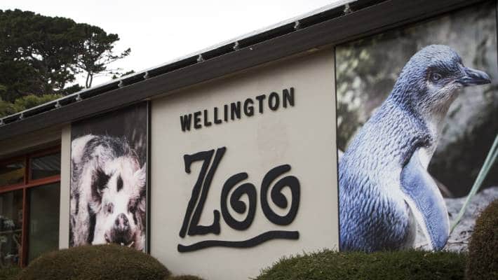 wellington zoo - Wellington Zoo