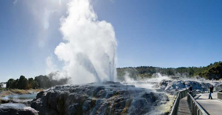 whakarewarewa - Whakarewarewa