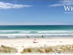 whangamata 240x180 - Toes in the Water - Whangamata Beach