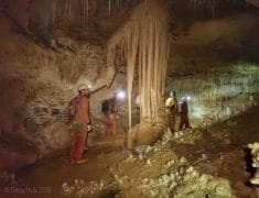 Botanic Gardens Cuningham House collection 4172  FillWzExNDAsMzgwXQ 1 235x180 - Caving at Waitomo