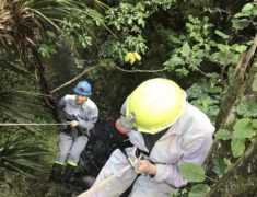 IMG 0875 235x180 - Caving at Waitomo