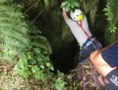 IMG 7670 235x180 - Caving at Waitomo