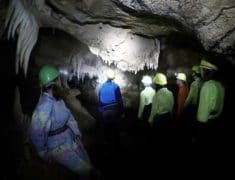 IMG 9053 235x180 - Caving at Waitomo