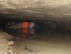 IMG 9578 235x180 - Caving at Waitomo