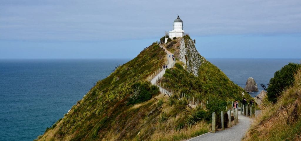 catlins 1024x482 - Nugget View & Kaka Point Motels