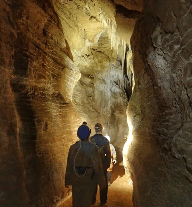 cave2 - Caving at Waitomo
