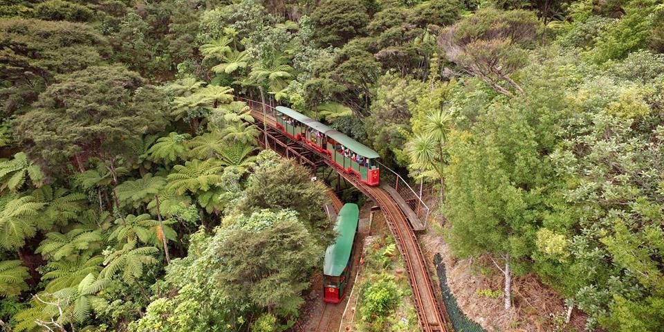 driving creek train - Driving Creek Railway