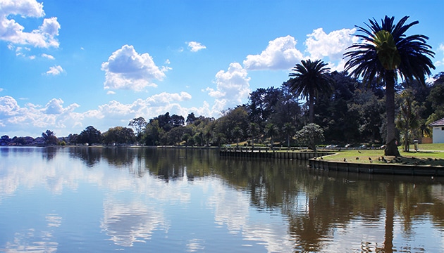 lake domain - Hamilton Lake Domain