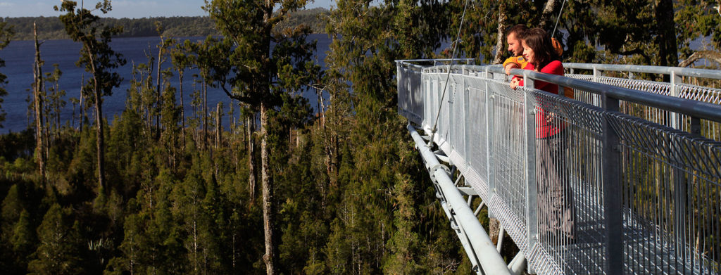 walkway bg 1024x391 - Westcoast Treetop Walk and Café