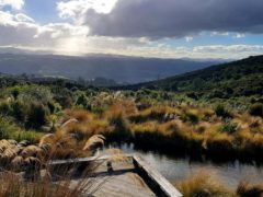 orokonui views 240x180 - Orokonui Ecosanctuary