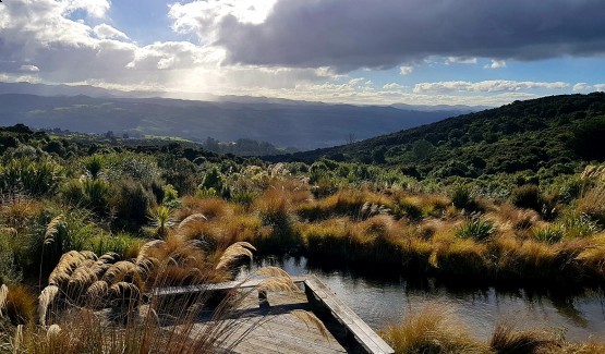 orokonui views - Orokonui Ecosanctuary