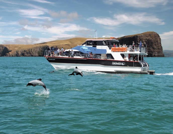 tour img 1312661 146 - Akaroa Harbour 2 Hour Nature Cruise