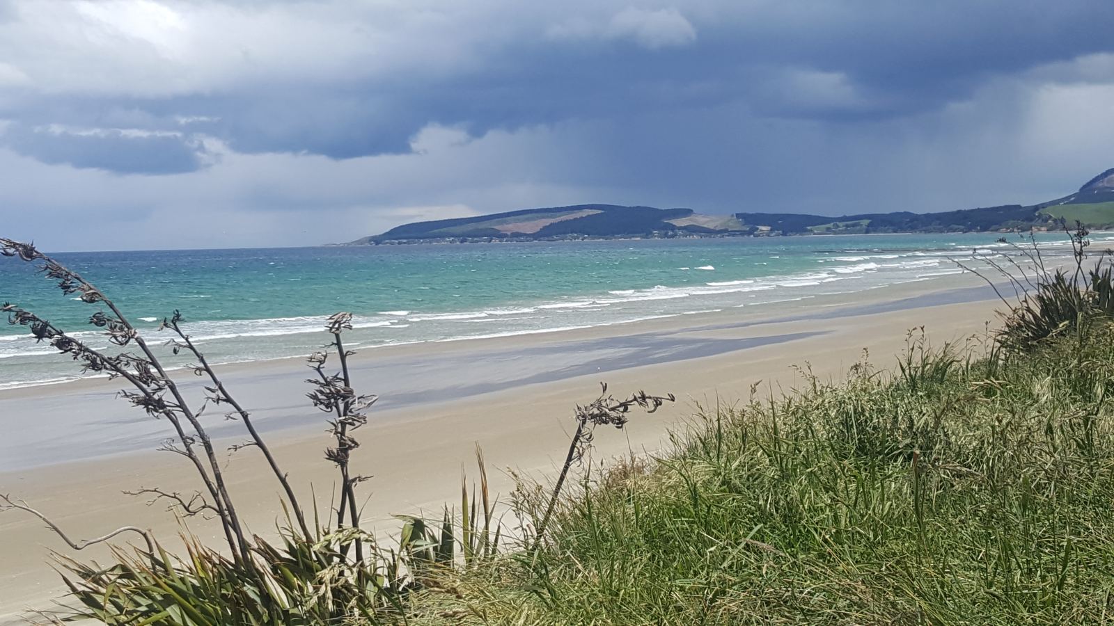 viber image 2019 11 20 15 42 37 - The Beautiful Otago Coastline