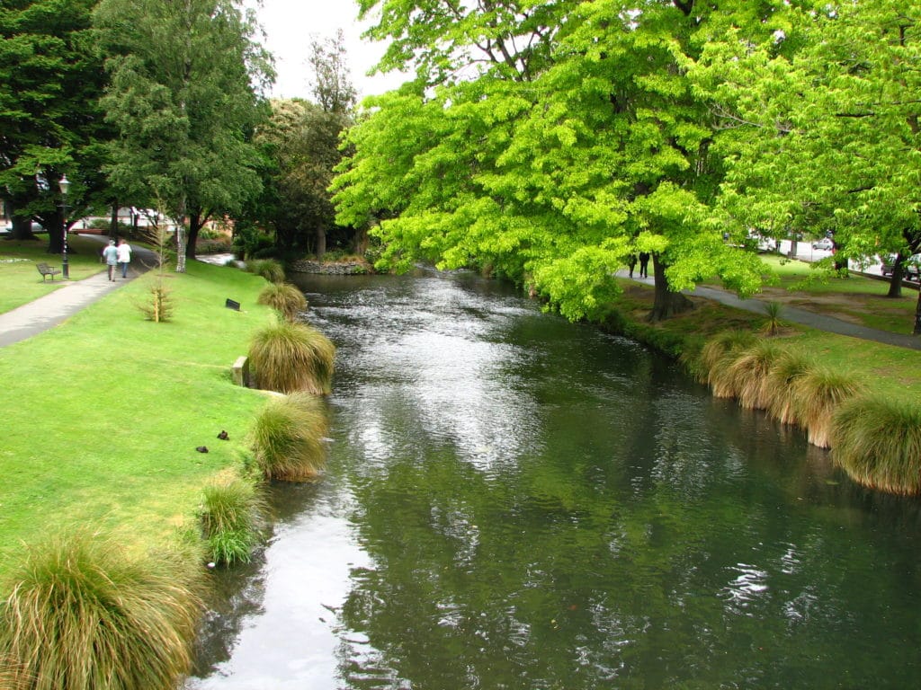 2455968397 2db6fe556a o 1024x768 - Christchurch Farmers' Market (Riccarton Bush)