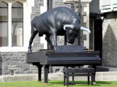 Bull 1 240x180 - Christchurch Art Gallery