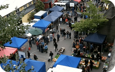 Lyttleton Farmers Market Rounded - Christchurch Must-Dos