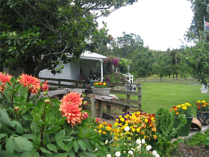 Miranda Valley 01 - Miranda Valley Orchard Cottage