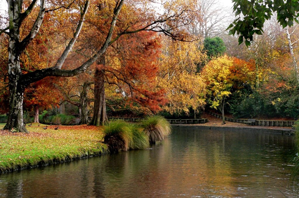 River 1 1024x677 - Hagley Park