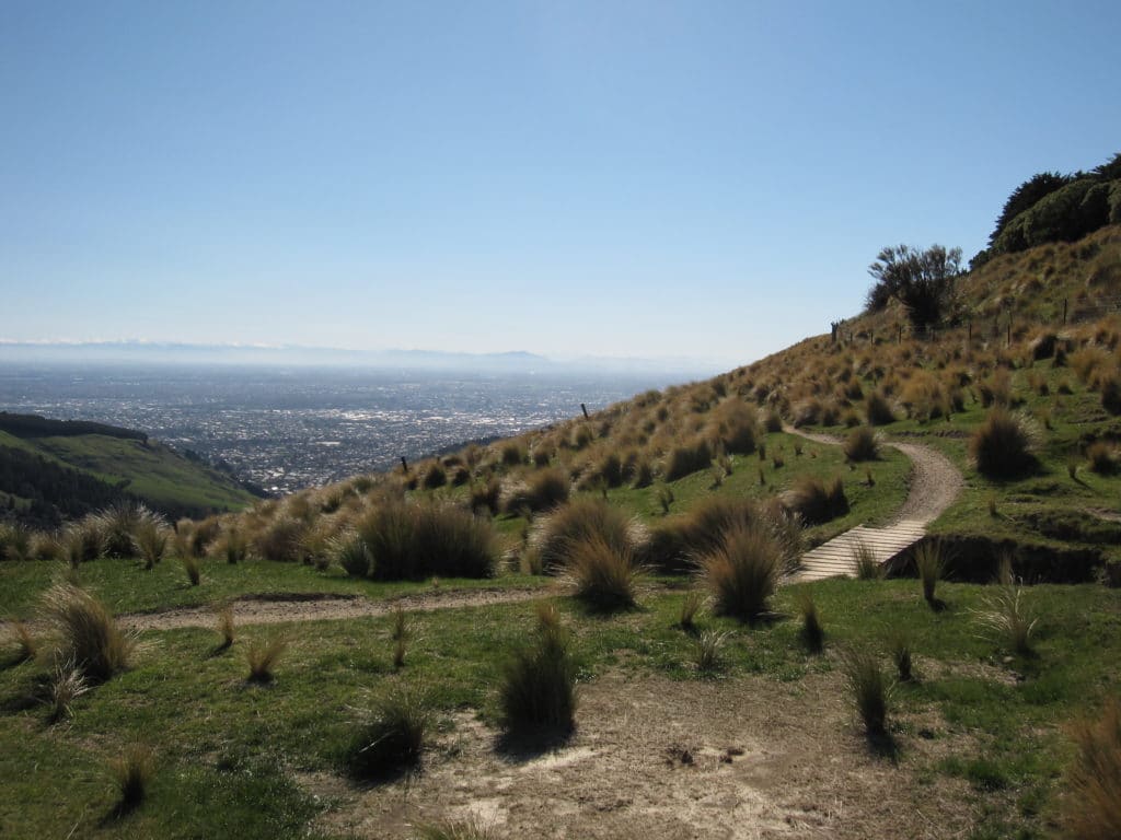 Trail 1 1024x768 - Port Hills