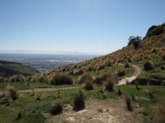 Trail 1 240x180 - Port Hills