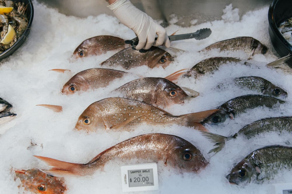 close up of fish - Riverside Markets